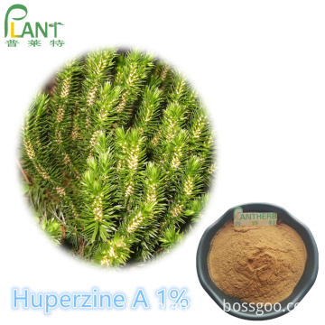 High purity huperzine powder A 1% huperzine serrate extract